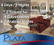 Disney World & Dinner Show Package